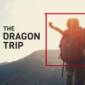 The Dragon Trip - Brand. Build. Business